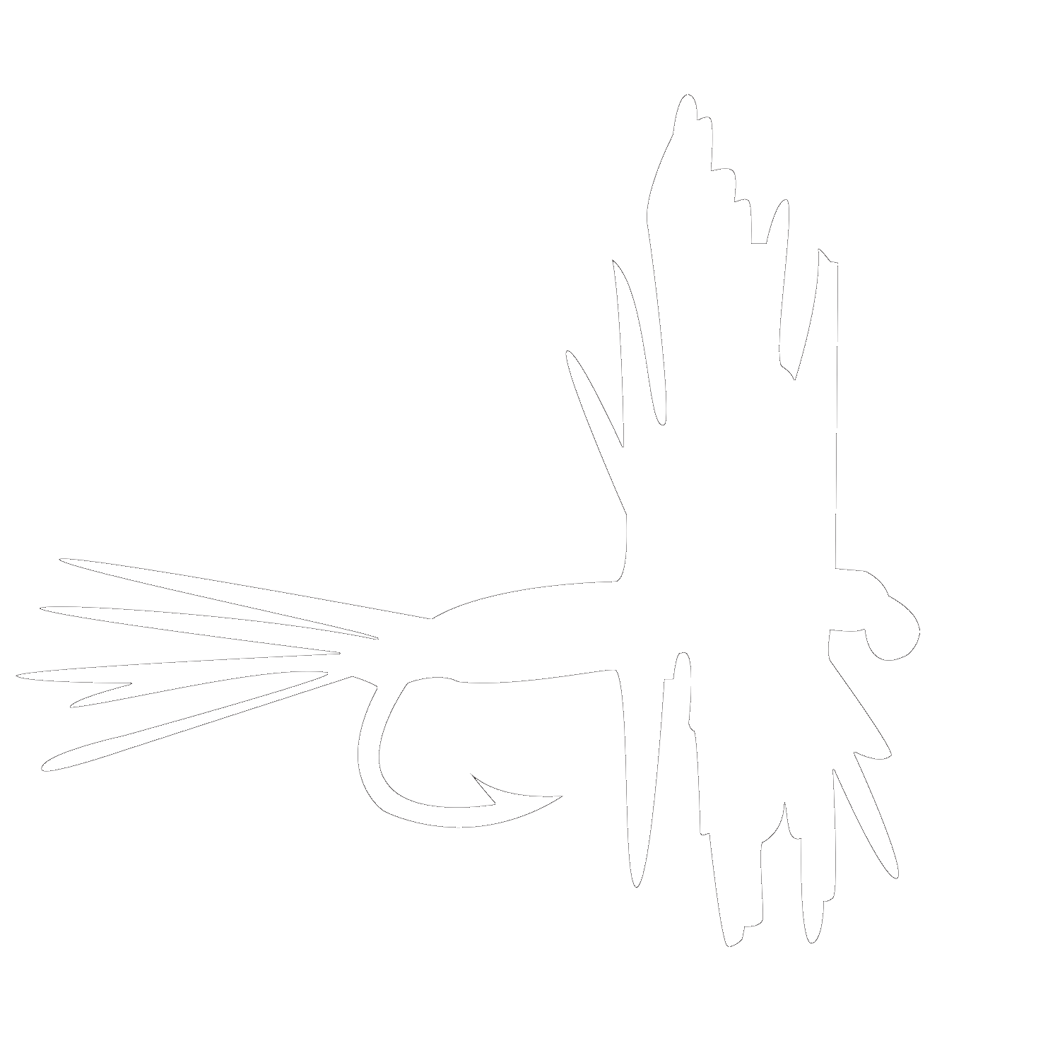 Cast & Drift Logo